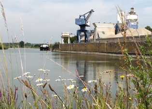 Afbeelding Waterbodems in de IJssel