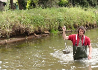 Afbeelding Ecologische effecten van een afvalwaterlozing