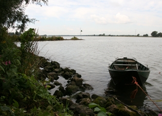 Afbeelding Ecologische effecten in de Nieuwe Merwede