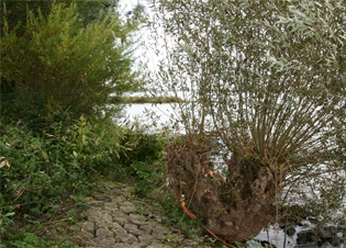 Afbeelding Waterbodems als mogelijke belemmering van de KRW-doelen in de Nederrijn-Lek