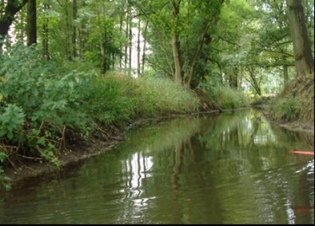 Afbeelding Watersysteemanalyse voor beken