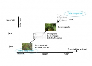 Afbeelding Protocol monitoring beekherstel waterschappen