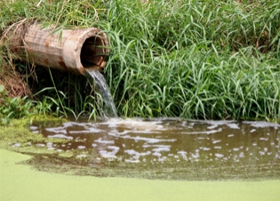 Afbeelding Effecten van riooloverstorten uit gemengde stelsels