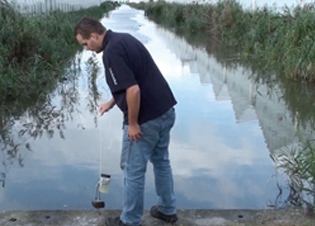 Afbeelding Trendanalyse voor gewasbeschermingsmiddelen, watervlooien in veldkooitjes en macrofauna in het glastuinbouwgebied