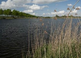 Afbeelding Optimalisatie van de chemische en ecologische monitoring voor WS Scheldestromen