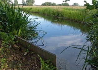 Afbeelding Een gebiedsbrede analyse van toxische druk in Delfland