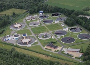 Afbeelding Biologische effectmonitoring bij vergaande zuivering van RWZI-effluent