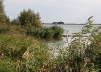 Afbeelding Verontreinigde waterbodems en de Waterwet