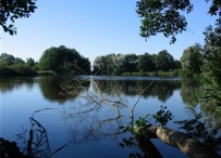 Afbeelding Nalevering van fosfaat uit de waterbodem in zwemplassen en een riviertje