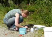 Afbeelding Stuurfactoren voor macrofauna