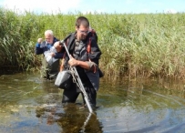 Afbeelding Herstel van de waterplanten op Goeree-Overflakkee